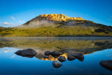 怎么制作苔藓微景观