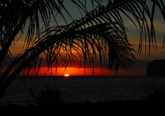 保时捷所有车型名字