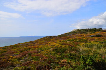 趣味数学小故事30 字