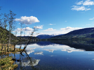 14年的十九座五菱校车拆车还能卖多少钱