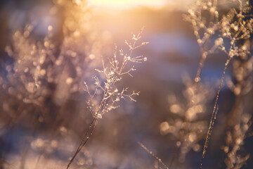 香港的历史简介