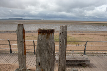 二年级语文上册《植物妈妈有办法》教案设计