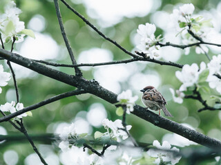 冬季驾车有哪些注意事项