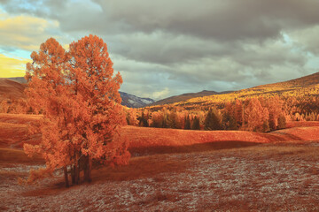 三字经到底背哪个版本