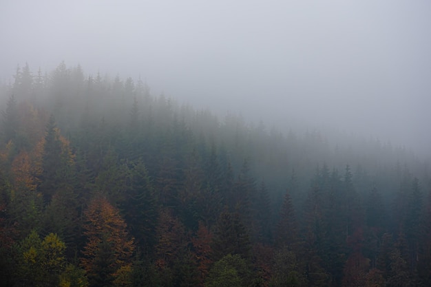 14年的十九座五菱校车拆车还能卖多少钱