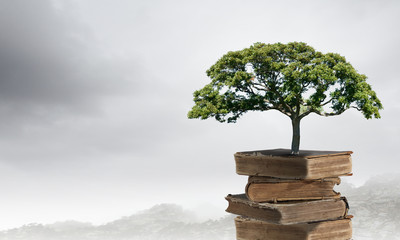 怎么制作苔藓微景观