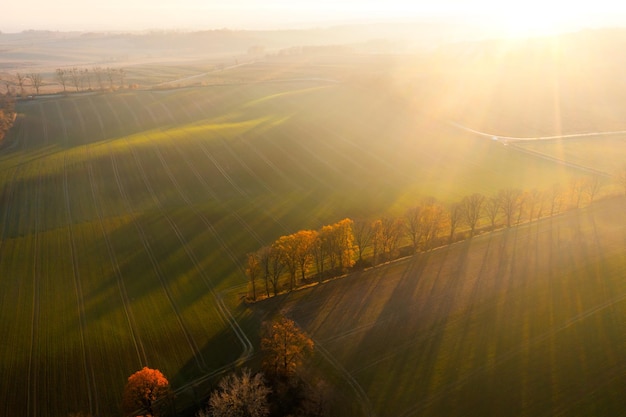 北京二手电动三轮市场在哪里